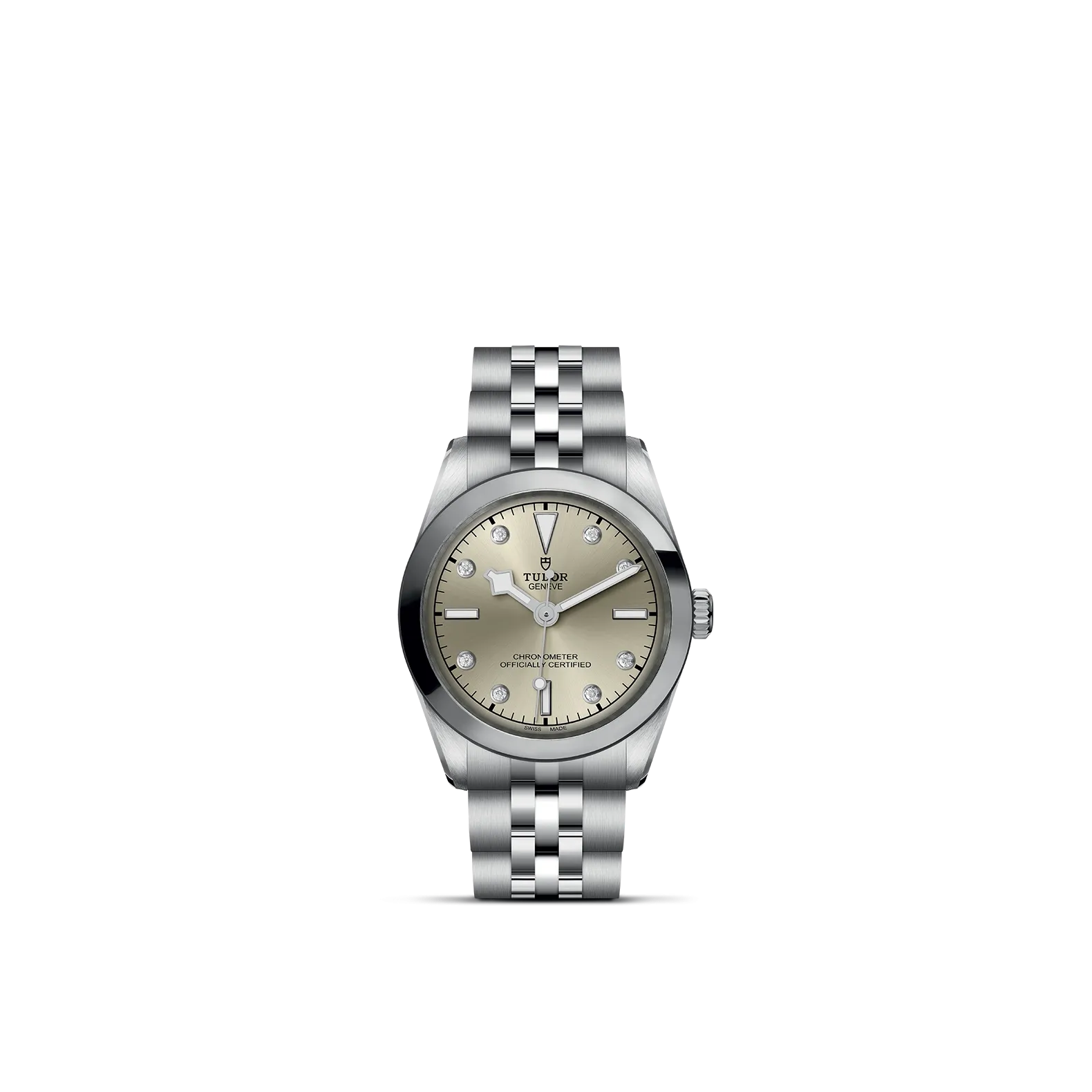 Tudor Black Bay 31