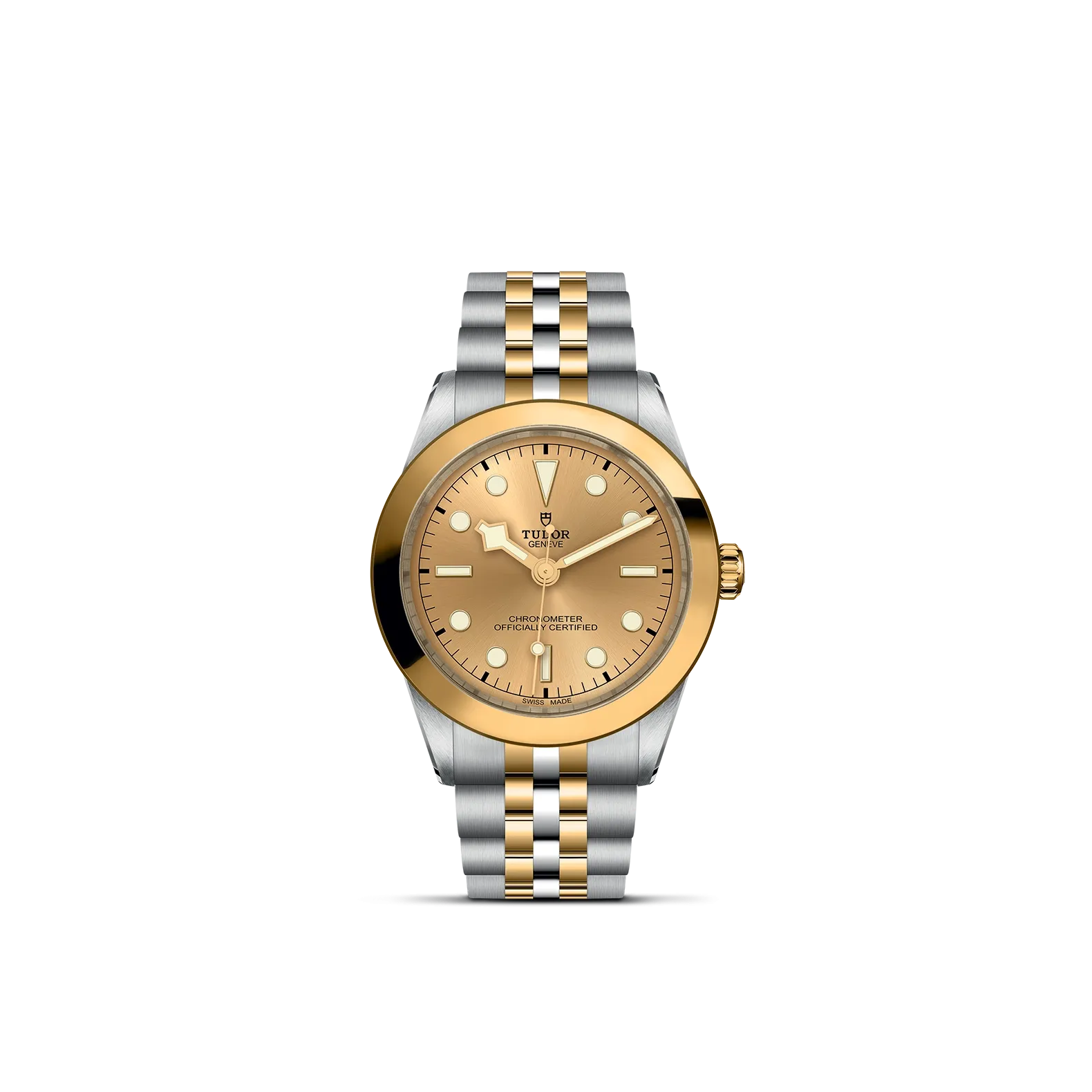 Tudor Black Bay 39 S&G