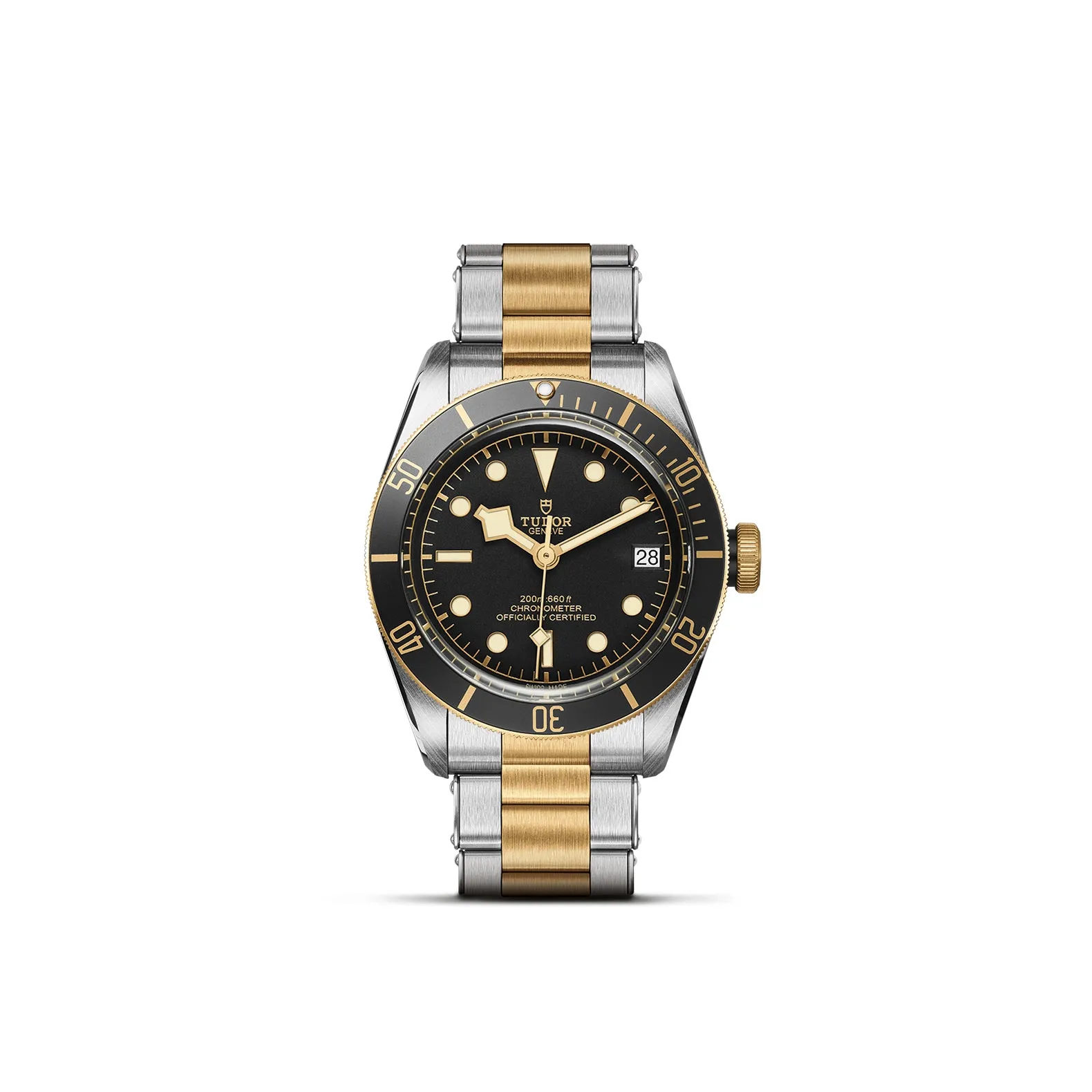 Tudor Black Bay S&G