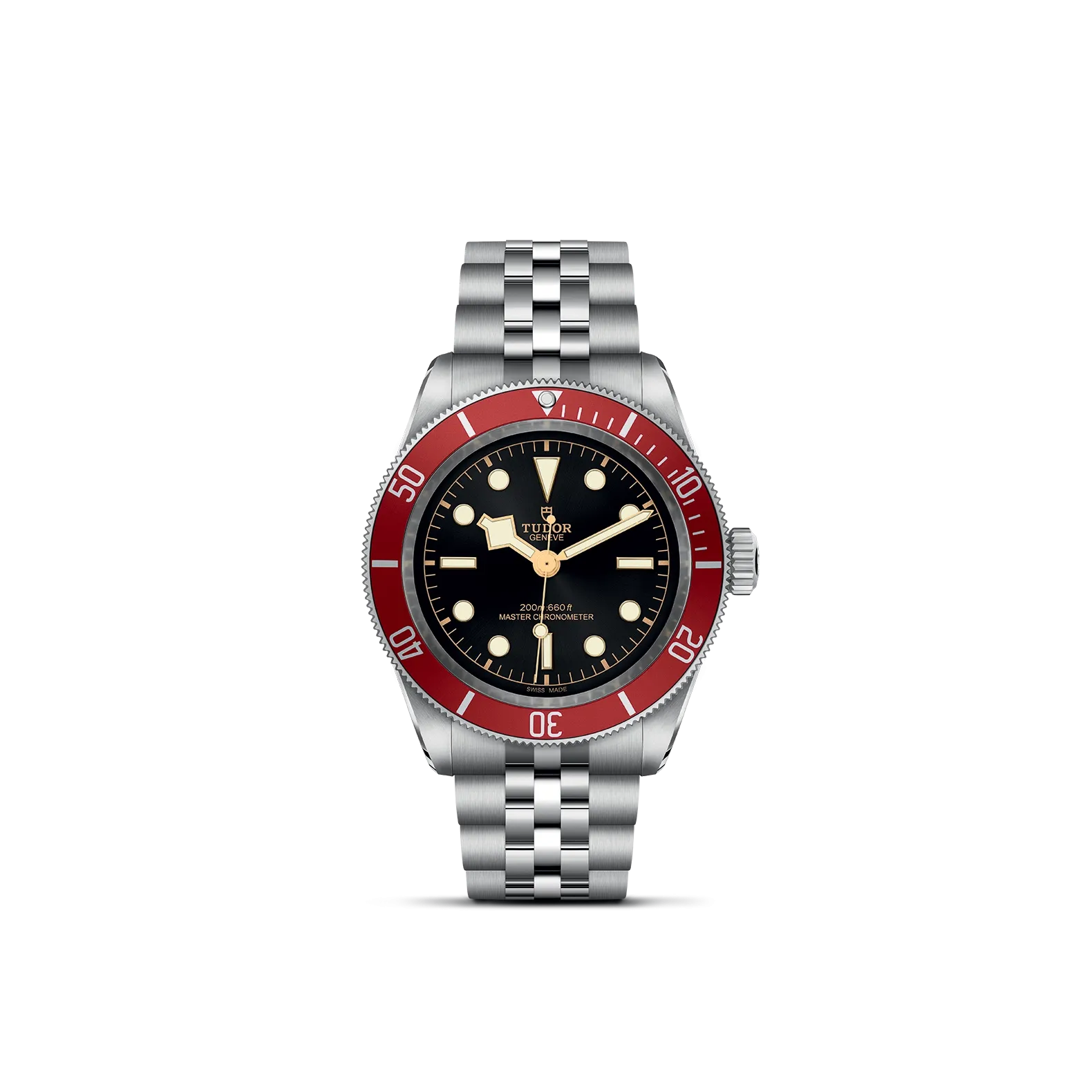 Tudor Black Bay